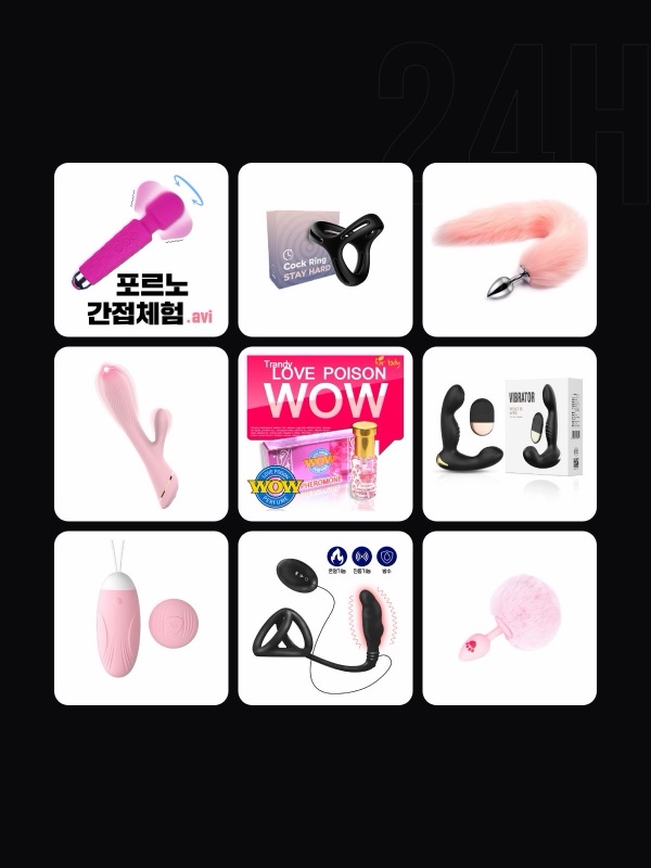 샤이맨 종로3가역점 취급 제품: 바이브레이터·진동 에그·커플용품